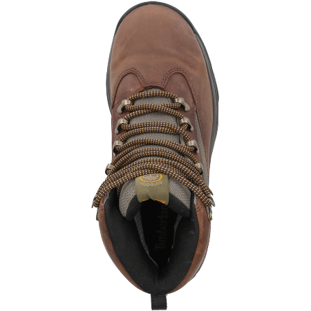 Timberland CHOCORUA TRAIL GORE-TEX - Braun/grün - Draufsicht