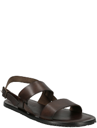 Emozioni herrenschuhe M5026 MIRTILLO PLANTES 412