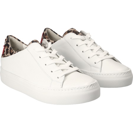 Paul Green 4699 024 Damenschuhe Schnürschuhe im Schuhe Lüke Paul Green 4699 024 Damenschuhe Schnürschuhe im Schuhe Lüke