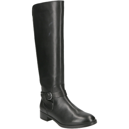 clarks netley whirl