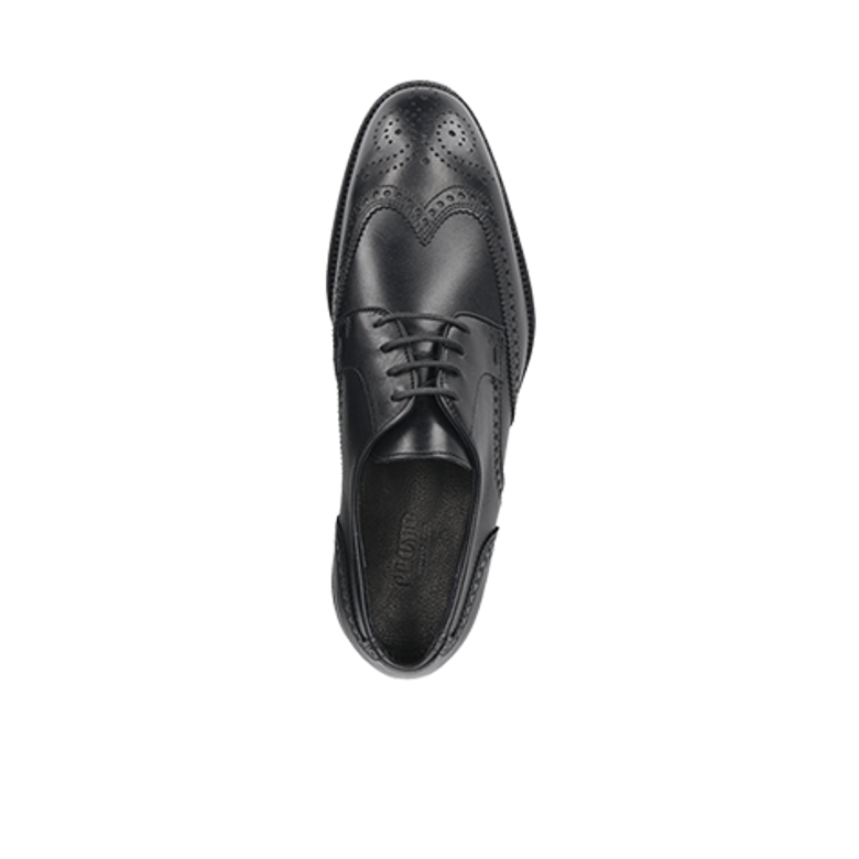 Lloyd SHERIDAN Schnürschuhe in schwarz