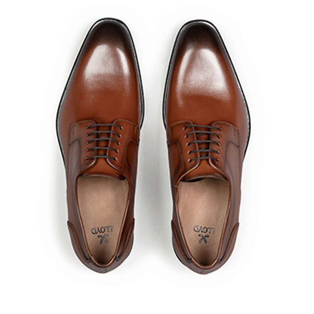 Lloyd 16-048-03 LENO 110 Schnürschuhe in braun