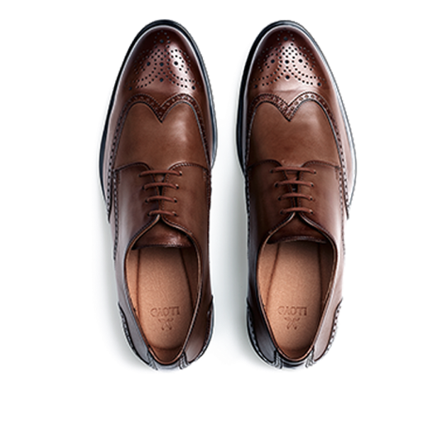 Lloyd 25-509-07 EEZY 140 Schnürschuhe in braun