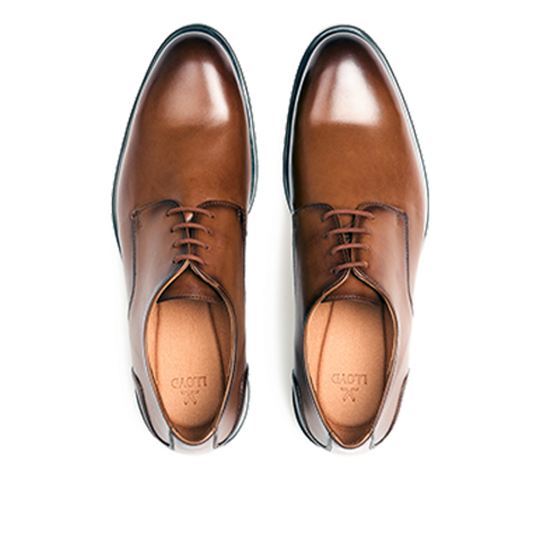 Lloyd 25-508-03 EEZY 110 Schnürschuhe in braun