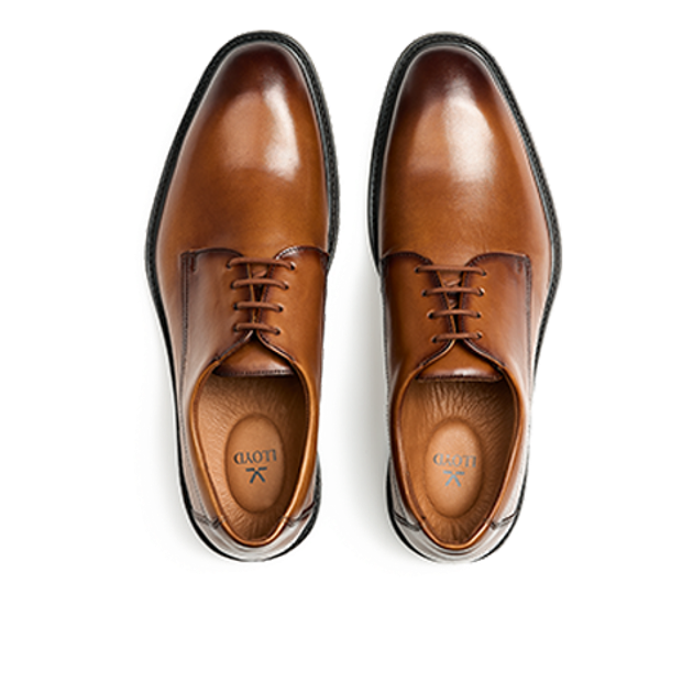 Lloyd 25-529-03 X-MOTION 110 Schnürschuhe in braun
