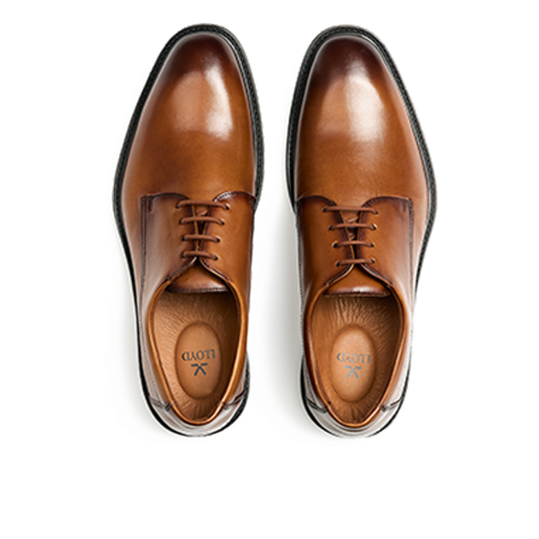 Lloyd 25-529-03 X-MOTION 110 Schnürschuhe in braun