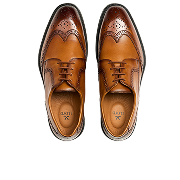 Lloyd 25-531-03 X-MOTION 140 Schnürschuhe in braun