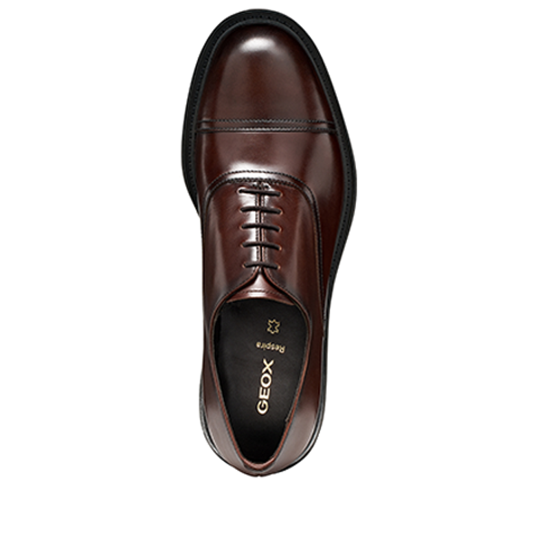 GEOX BEXFORD Schnürschuhe in braun