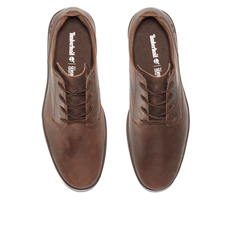 Timberland Bradstreet PT Oxford Sneaker in braun