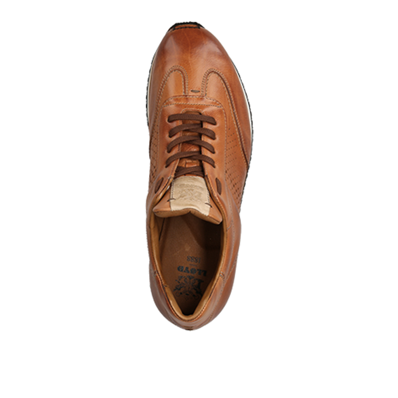 Lloyd 20-755-03* WALCOTT Sneaker in braun