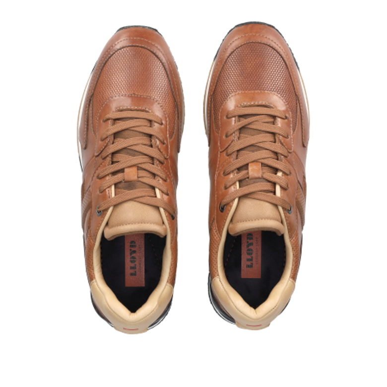 Lloyd 15-443-03 ENOS Sneaker in braun