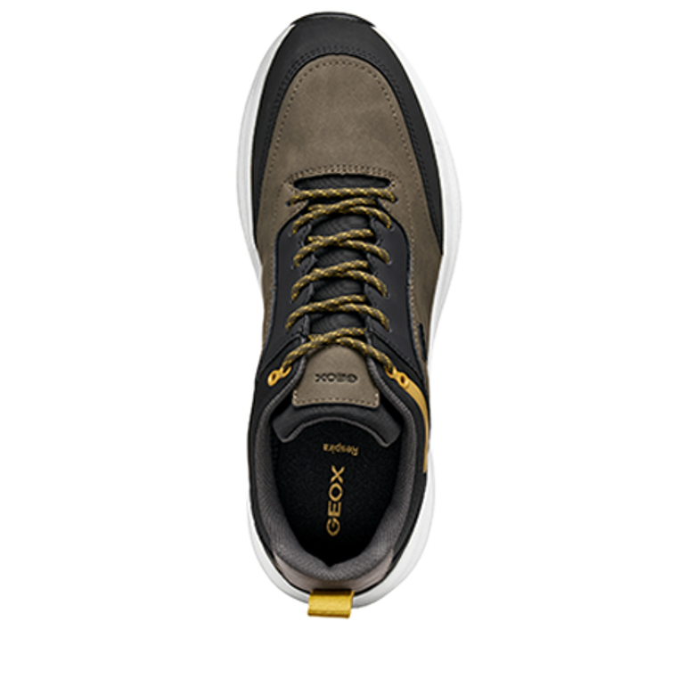 GEOX SENALES Sneaker in braun