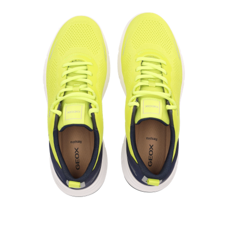 GEOX VITTOUR Sneaker in gelb
