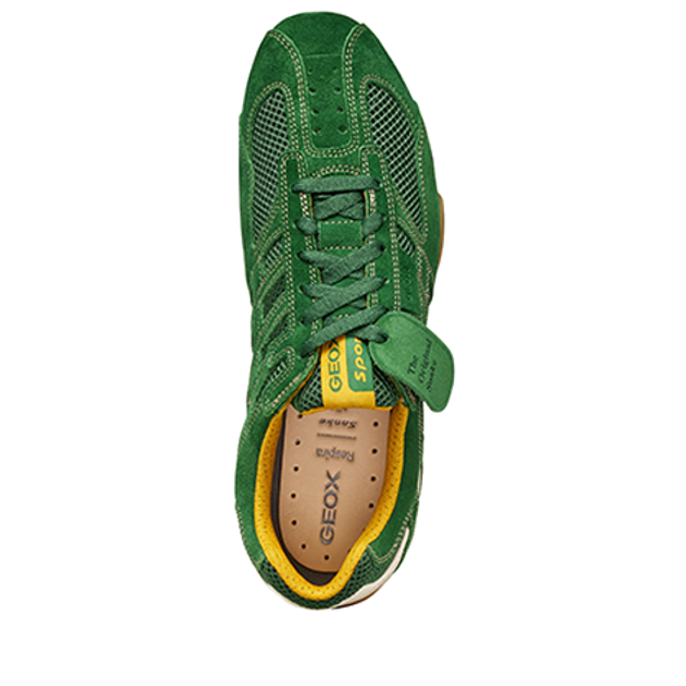 GEOX SNAKE Sneaker in grün