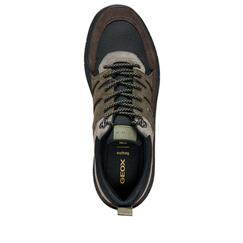 GEOX SPHERICA 4X4 Sneaker in grün