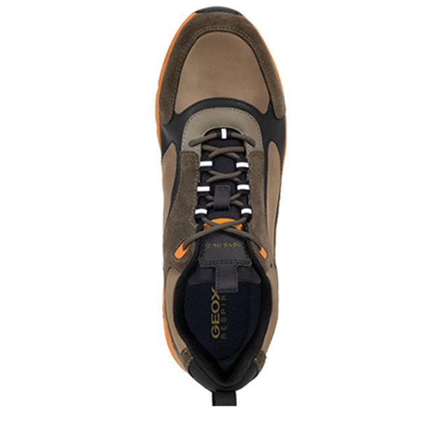 GEOX SPHERICA ECUB Sneaker in bunt