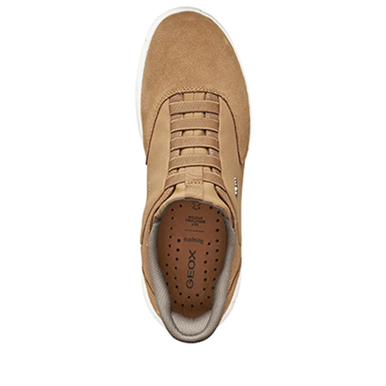 GEOX NEBULA 2.0 PLUS Slipper in braun