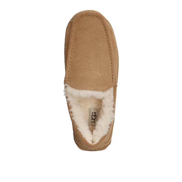 UGG 1101110-CHE ASCOT Warmfutter in braun