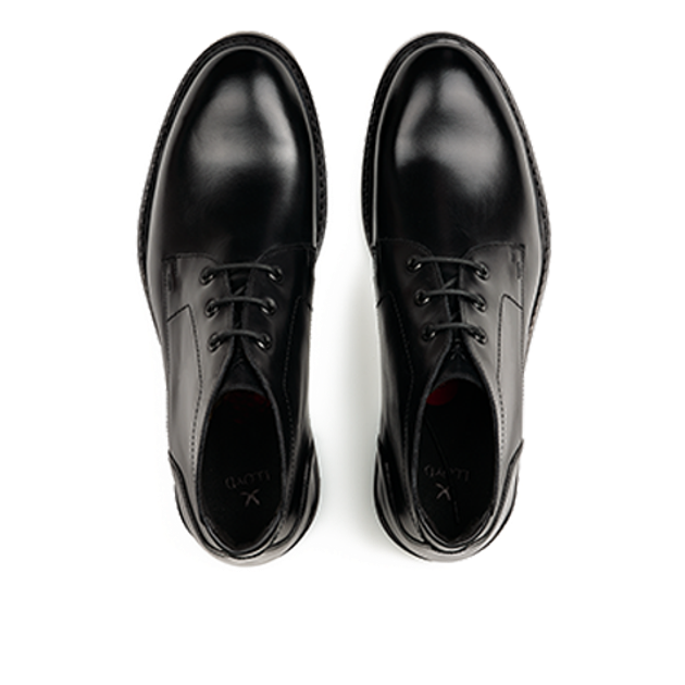 Lloyd 25-604-00 VIBE 325 Boots in schwarz