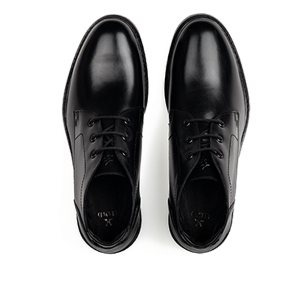 Lloyd 25-605-00 VIBE 327G Boots in schwarz