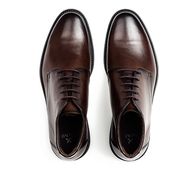 Lloyd 25-515-07 CORE 335 Boots in braun