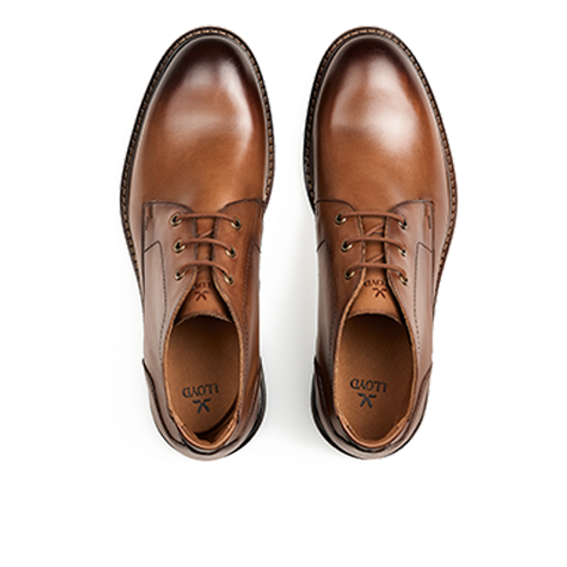 Lloyd 25-604-03 VIBE 325 Boots in braun