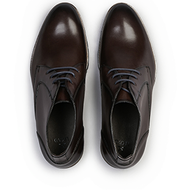 Lloyd 26-665-05 DRAMON 325 Boots in braun