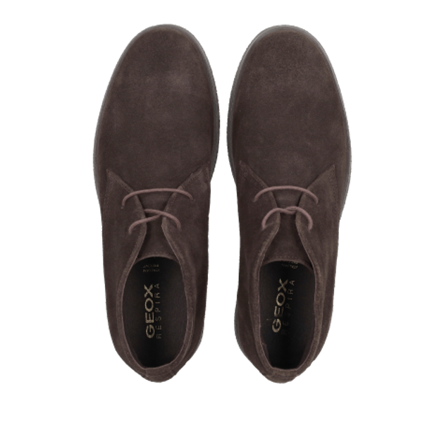 GEOX CLAUDIO Boots in braun