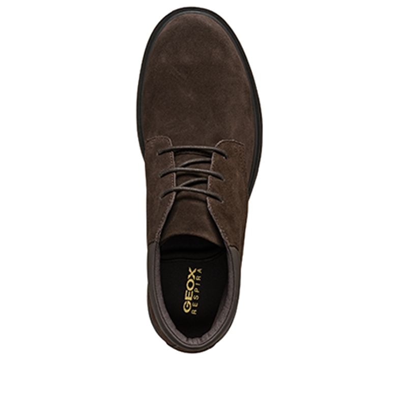 GEOX SPHERICA Boots in braun