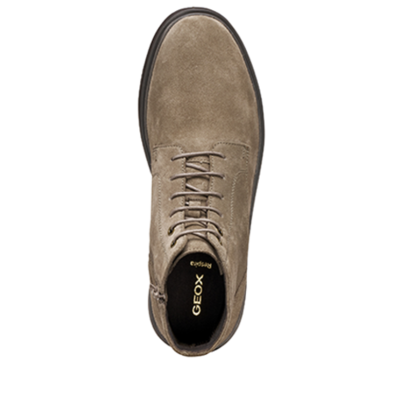 GEOX MASSIMIANO Boots in braun