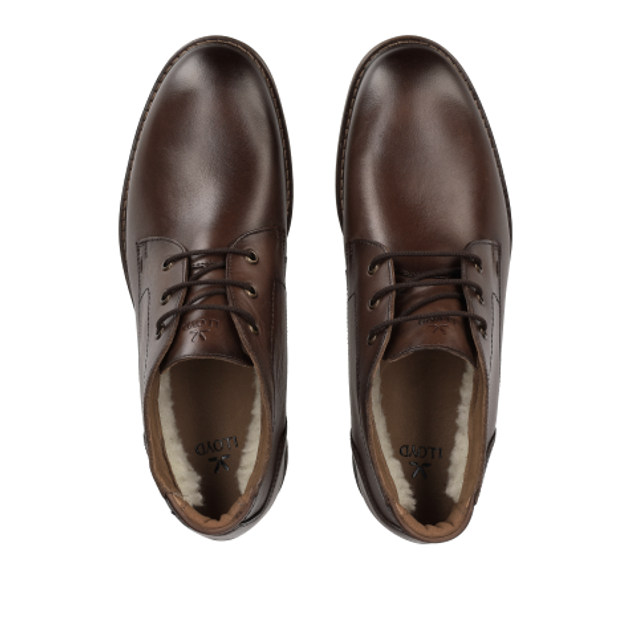 Lloyd 25-605-03 VIBE 327G Boots in braun