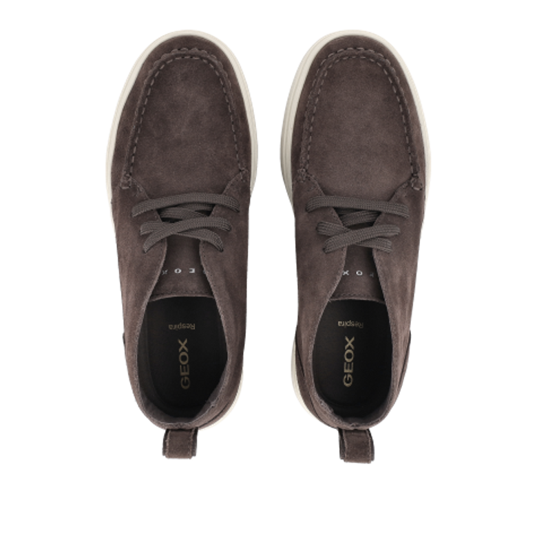 GEOX BALTMOORE Sneaker in braun