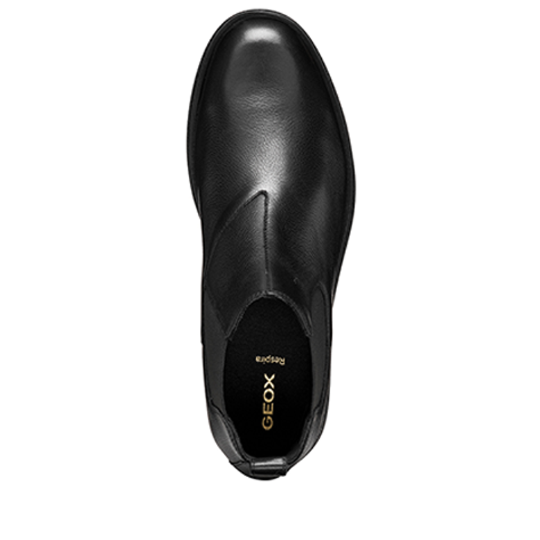 GEOX CLAUDIO Stiefeletten in schwarz
