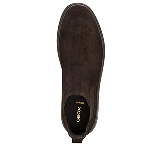 GEOX MASSIMIANO Stiefeletten in braun