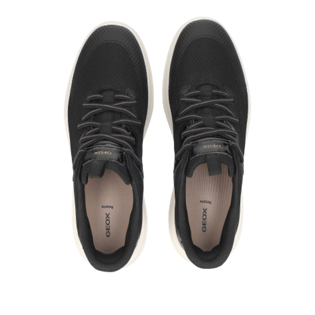 GEOX Plummery Sneaker in schwarz