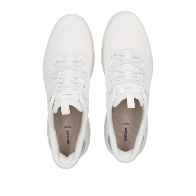 GEOX Plummery Sneaker in silber