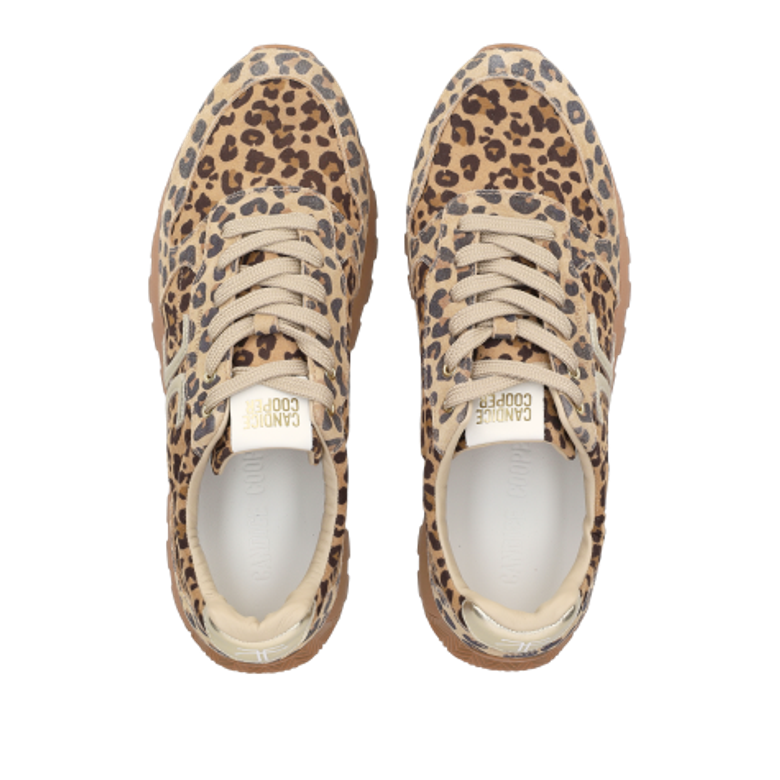 Candice Cooper 2019527.04.4D70 PLUME 5 Sneaker in braun