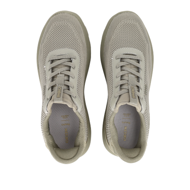 GEOX SPHERICA PLUS Sneaker in grün