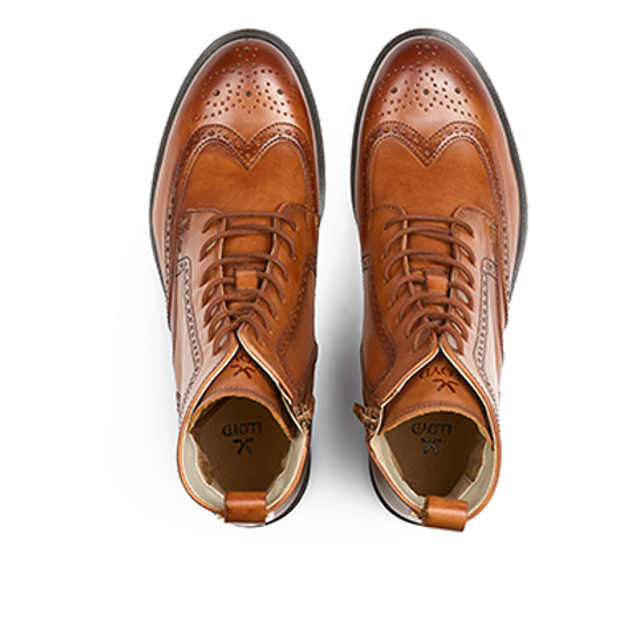 Lloyd 25-243-03 DARA 325 Boots in braun