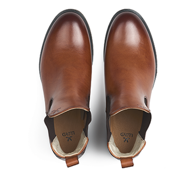 Lloyd 25-287-01 DARA 315 Stiefeletten in braun