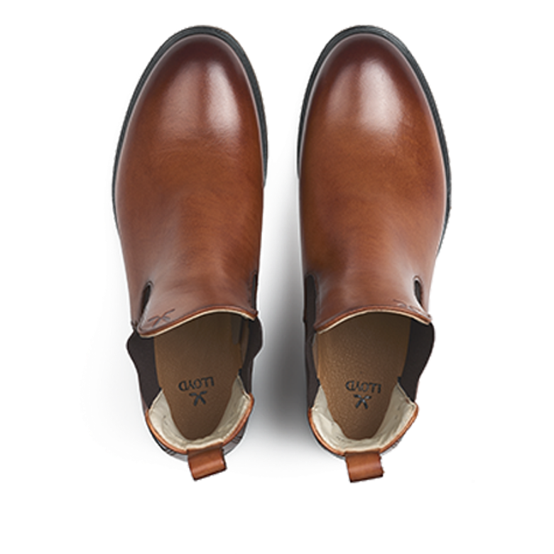 Lloyd 25-287-01 DARA 315 Stiefeletten in braun