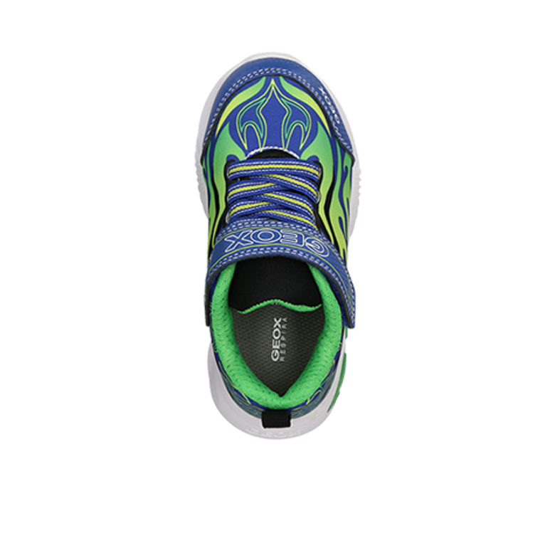 GEOX ASSISTER Sneaker in blau
