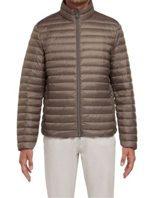 GEOX WARRENS SHORT JACKET  in grün