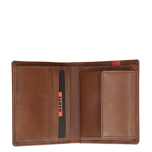 Lloyd Wallet upright  in braun