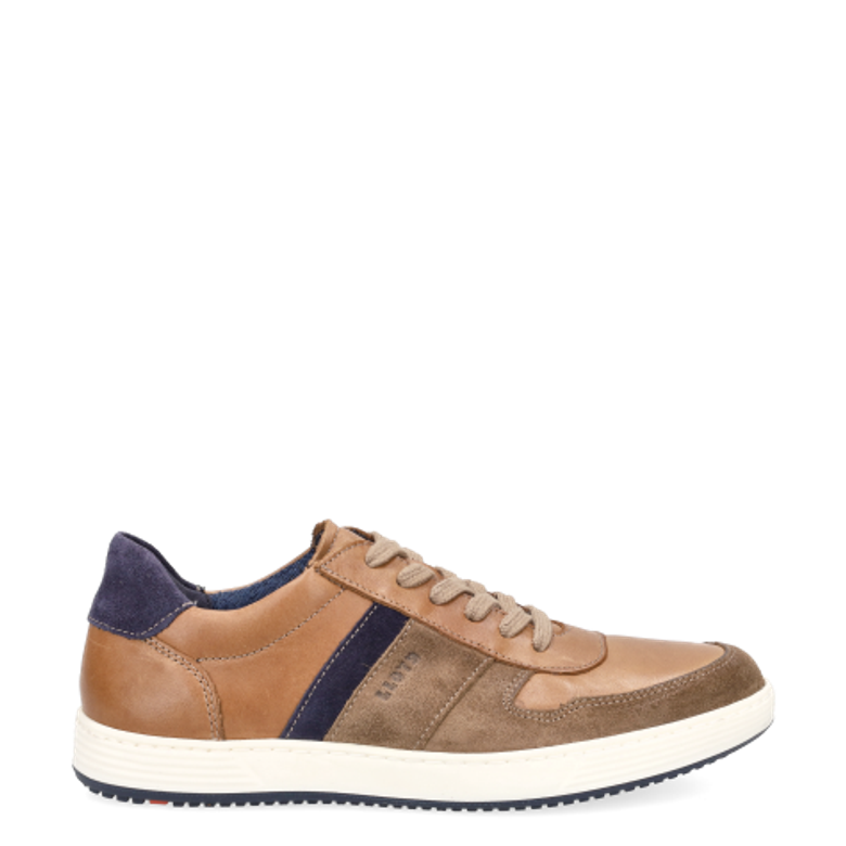 Lloyd 24-764-33 BOSCO Sneaker in braun