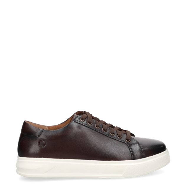 Clarks Goswell Tie 26186560 7 Sneaker in braun