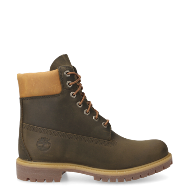 Timberland A6291 6 Inch Premium Boot MILITARY OLIVE Boots in grün