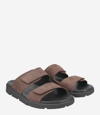 GEOX - XAND