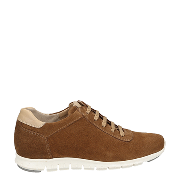 Perlato 11395 MONKS Sneaker in braun