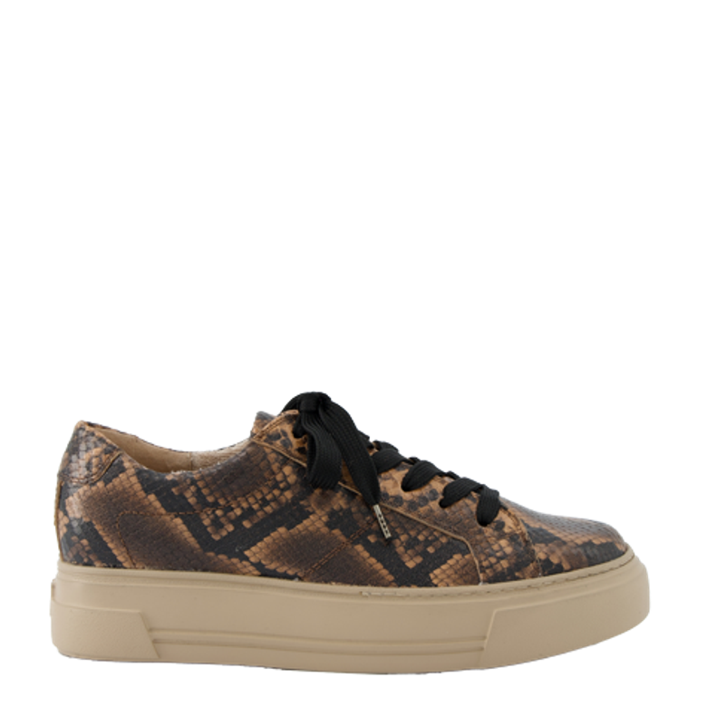 Paul Green 5469-058 Sneaker in braun